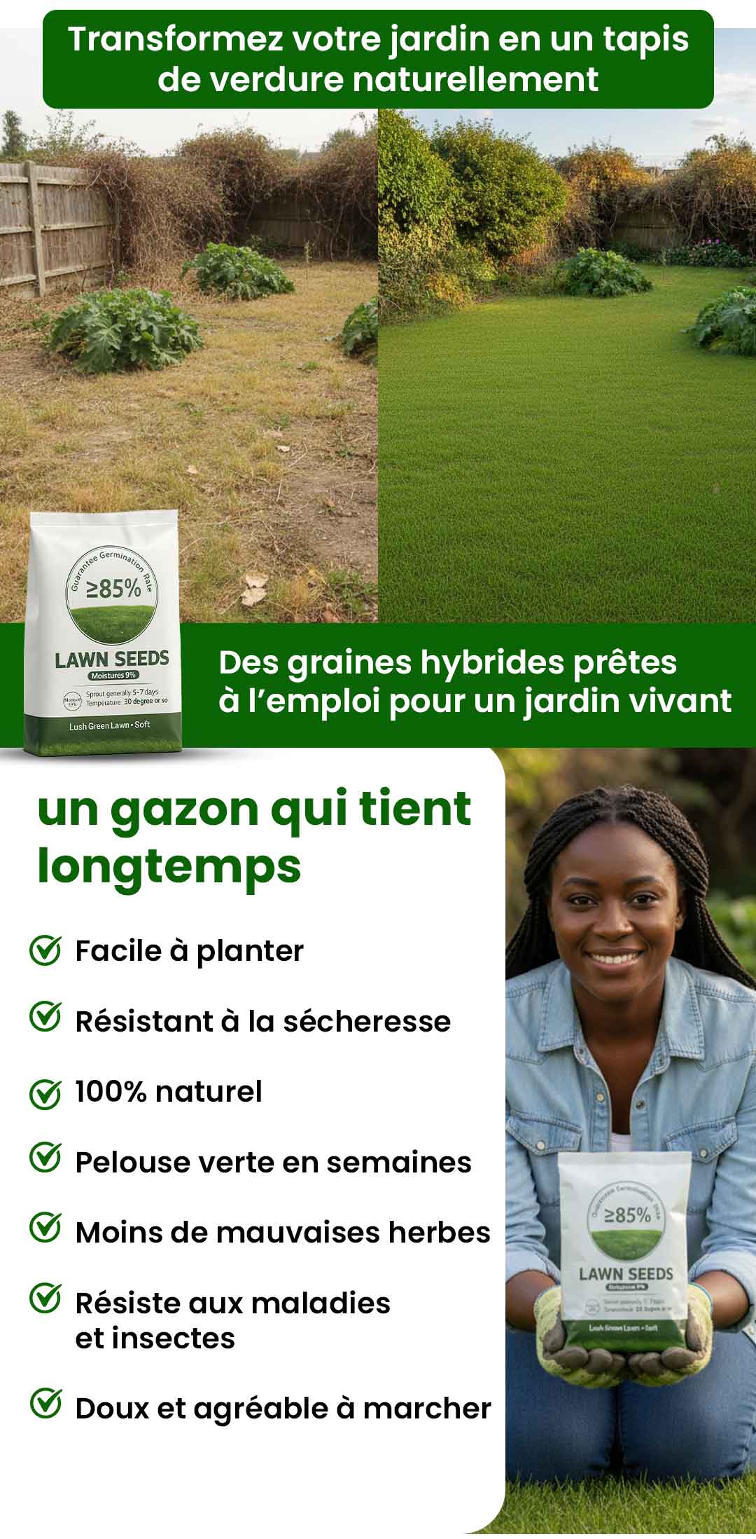 Gazon